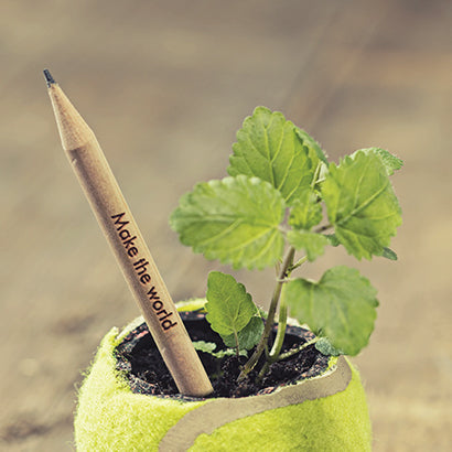 Le crayon Vert qui se transforme en plante aromatiques !